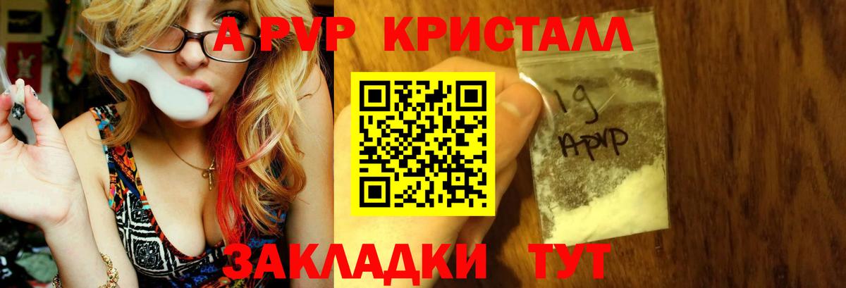 Альфа ПВП СК Камышин