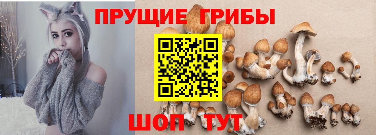 Галлюциногенные грибы Magic Shrooms Камышин
