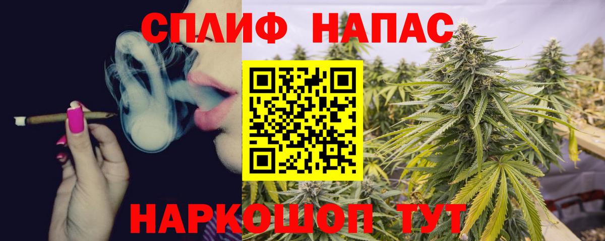 Канабис сатива Камышин